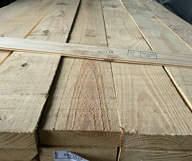 景泰阿根廷松木